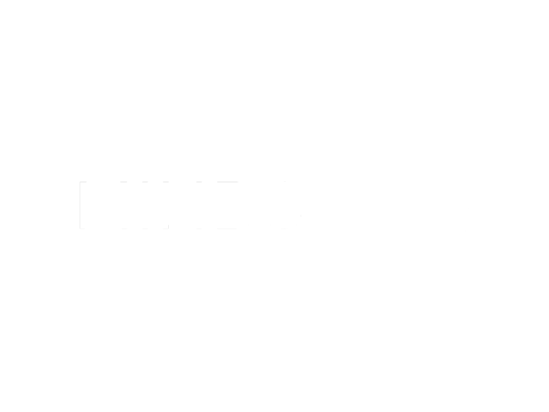 MINDS